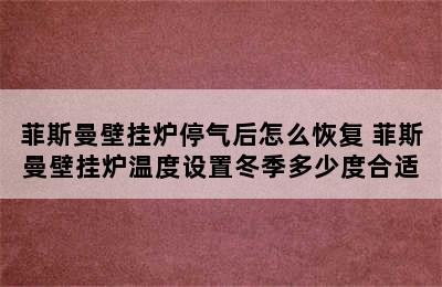 菲斯曼壁挂炉停气后怎么恢复 菲斯曼壁挂炉温度设置冬季多少度合适